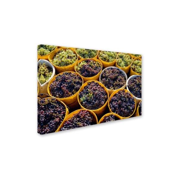 Robert Harding Picture Library 'Grapes 1' Canvas Art,12x19